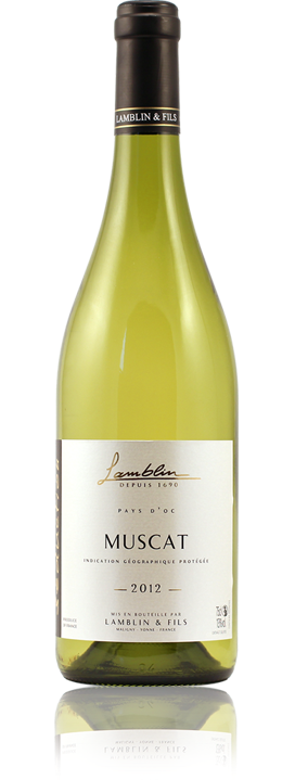 Muscat Dry Lamblin